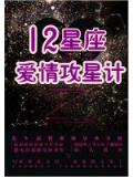 12星座愛情攻星計小說