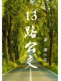 13路公交小說