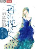 80後離婚潮：再見，枕邊人小說