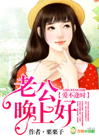 愛不逢時,老公晚上好小說