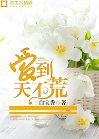 愛到不天荒小說