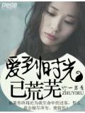 愛到時光已荒蕪小說