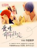 愛情,命中註定小說