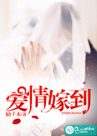 愛情嫁到小說