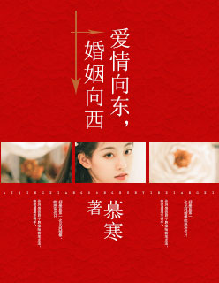 愛情向東，婚姻向西小說