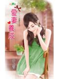 愛妻養成小說