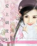 愛上調皮妃小說