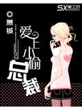 愛上小偷總裁小說