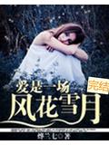 愛是一場風花雪月小說