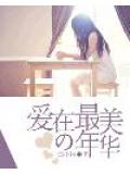 愛在最美的年華小說