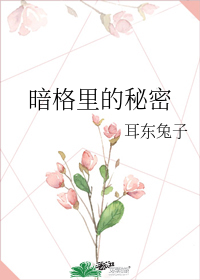 暗格裡的秘密小說