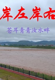 岸左岸右小說