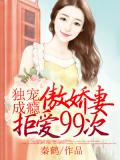 傲嬌妻拒愛99次小說