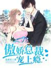 傲嬌總裁寵上癮小說