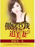 傲嬌總裁追美妻小說