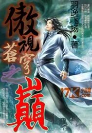 傲視蒼穹之巔小說