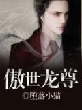 傲世龍尊小說