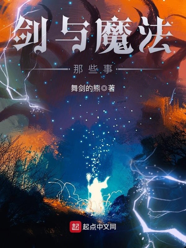 奧術武裝小說