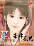 霸道太子:笨婢小寵妃小說