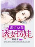 霸道總裁，誘妻拐娃小說