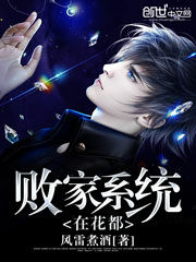 敗家系統在花都小說