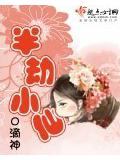 半劫小仙小說