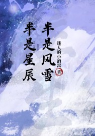 半是風雪半是星辰小說