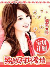 寶貝計劃:囂張媽咪壞爹地小說