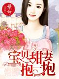 寶貝甜妻抱一抱小說