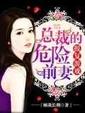 報復遊戲,總裁的危險前妻小說