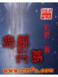 卑鄙天尊小說