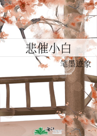 悲催小白小說