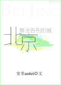 北京,無法告別的城.小說