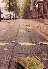 北京地鐵四號線小說