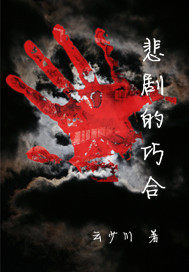 悲劇的巧合小說