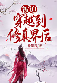 被迫穿越到修真界後小說