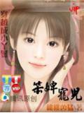 笨婢寵兒小說