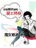 變裝禁忌遊戲:愛上替身小說