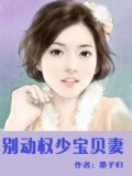 別動權少寶貝妻小說