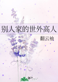 別人家的世外高人小說