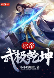 冰帝：武極乾坤小說