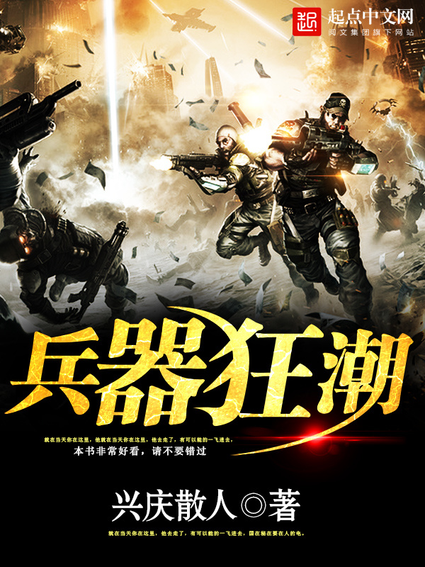 兵器狂潮小說