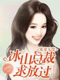 冰山總裁求放過小說