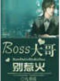 boss大哥,別惹火小說