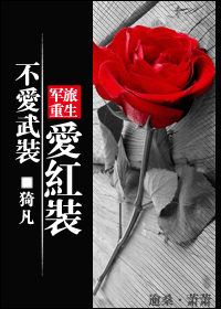 不愛武裝愛紅裝小說