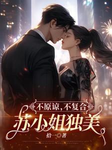 不原諒，不復合，蘇小姐獨美小說