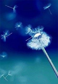 不願說再見小說