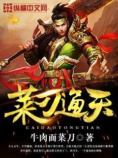 菜刀通天小說
