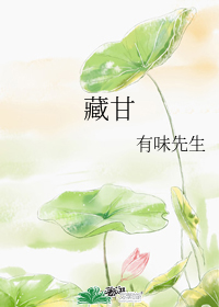 藏甘小說