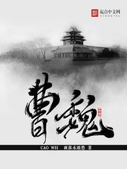 曹魏小說